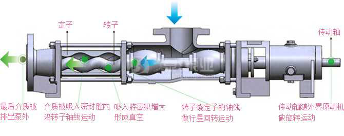 G型單螺桿泵工作原理圖