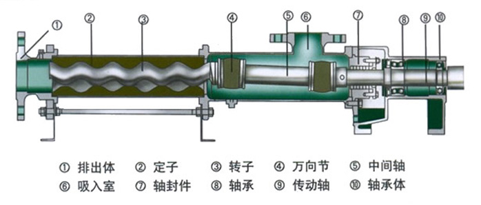 G型臥式單螺桿泵內(nèi)部結(jié)構(gòu)圖